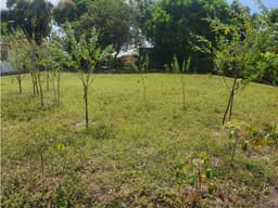 TERRENO EN BEJUCO DE CHAME