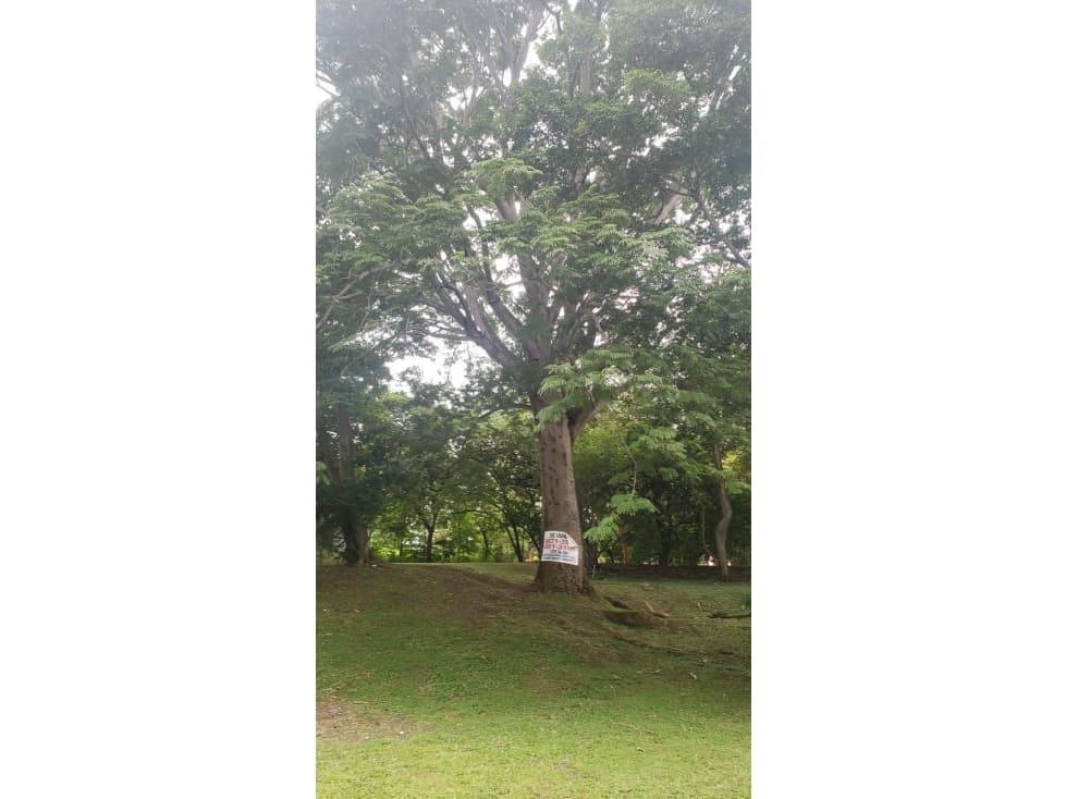 VENTA DE TERRENO DE PLAYA, COSTA ESMERALDA — foto 4