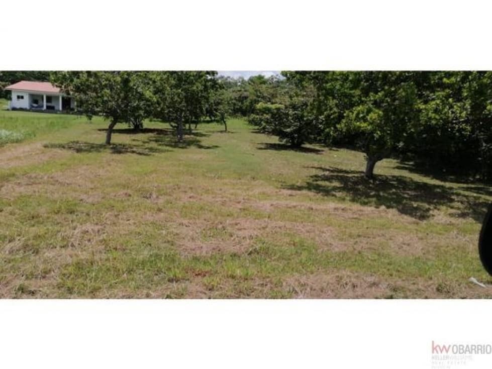 Terreno en Club de Golf de Coronado — foto 4