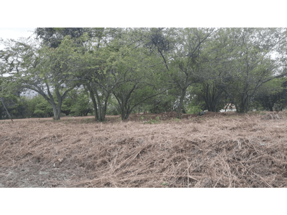 SE VENDE TERRENO CORONADO — foto 1
