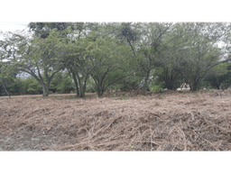 SE VENDE TERRENO CORONADO