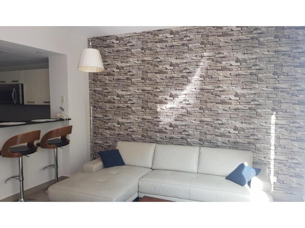 SE ALQUILA APARTAMENTO AMOBLADO PANAMÁ PACÍFICO — foto 4