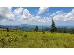 Venta de Terreno en Altos del María, Sorá