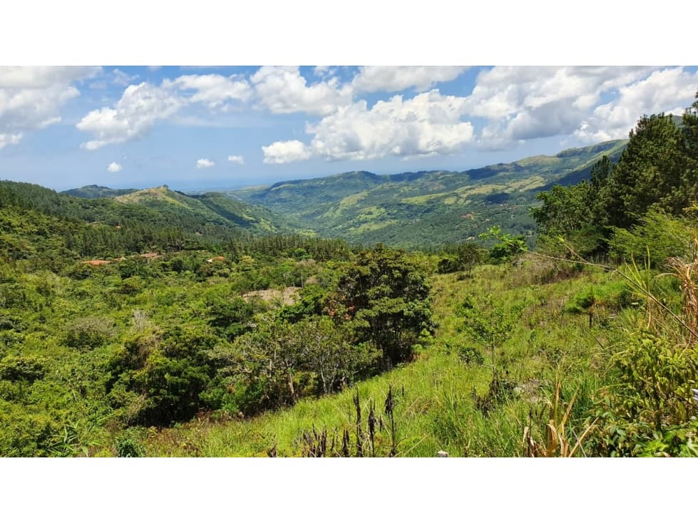 Venta de Terreno en Altos del María, Sorá — foto 4