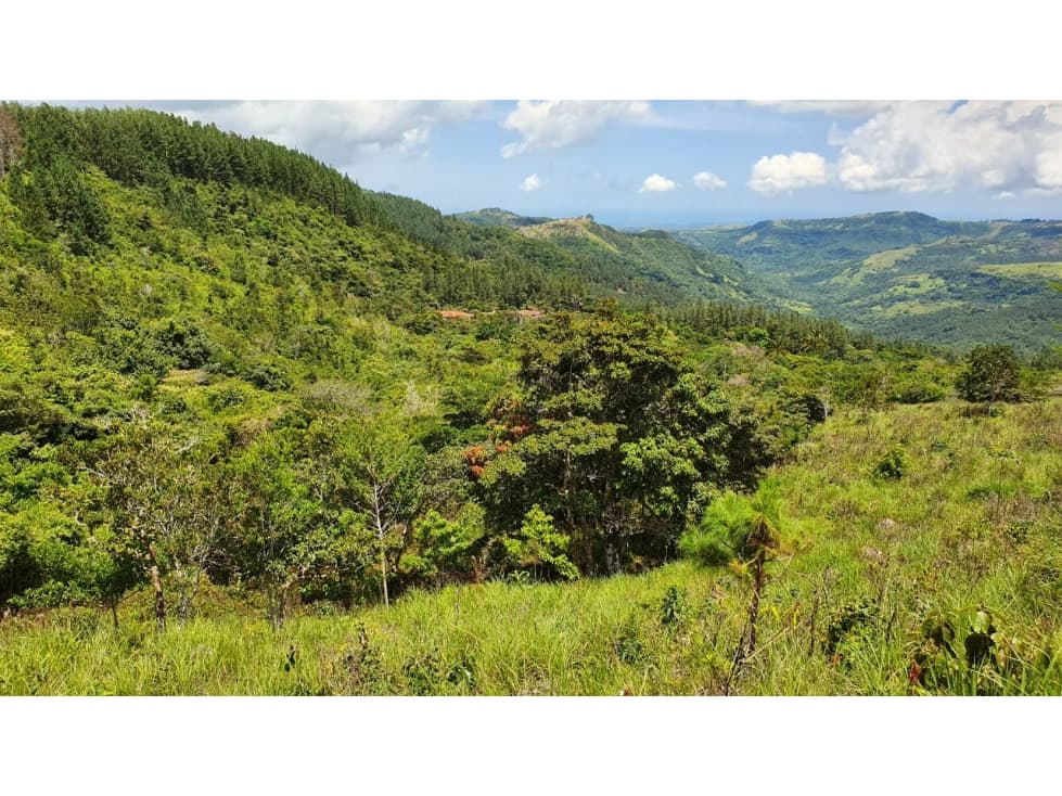 Venta de Terreno en Altos del María, Sorá — foto 6