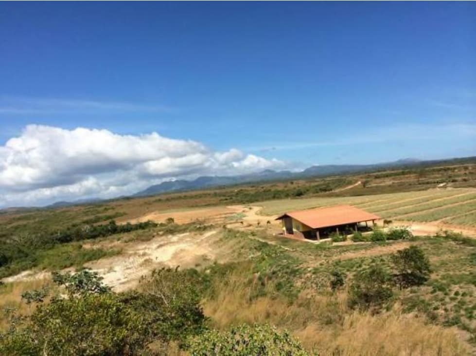 Venta de finca agro-ganadera en Antón GTA — foto 2
