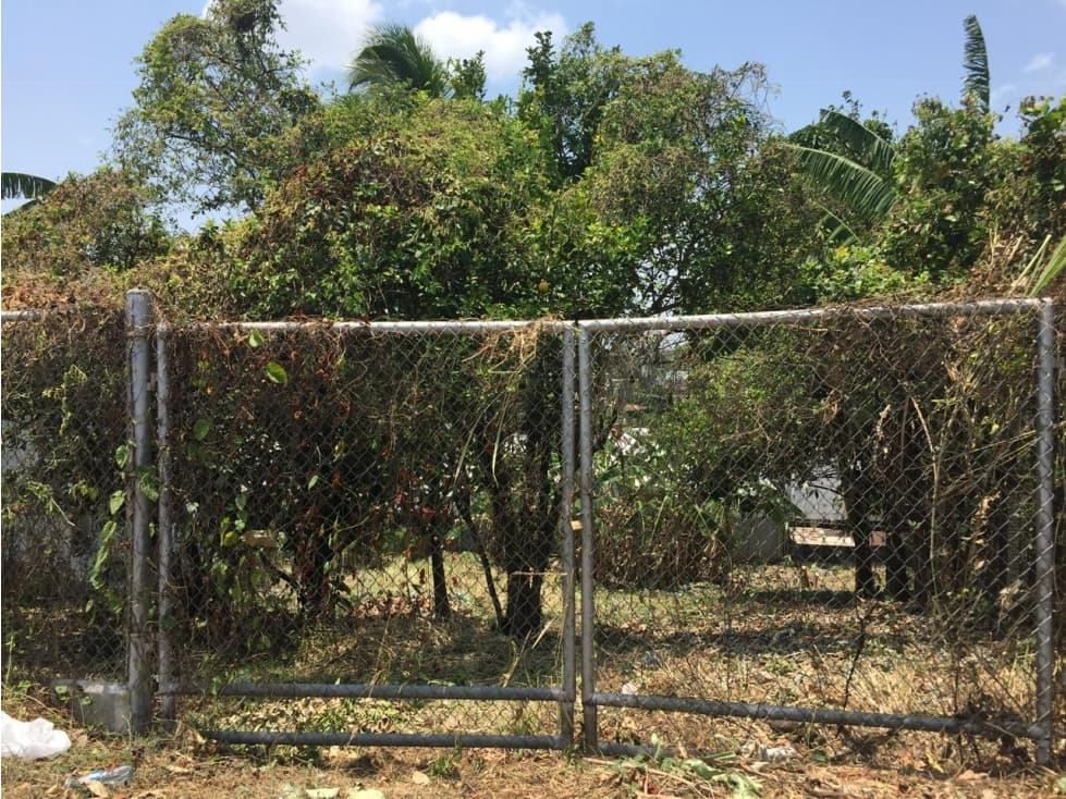 Venta de terreno en Bethania (Club X) GTA — foto 3