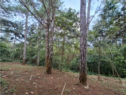 VENTA DE TERRENO EN CERRO AZUL