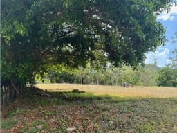 Se Vende Amplio Terreno Rodeado de Naturaleza a Minutos de la Ciudad
