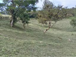 SE VENDE TERRENO EN ALTOS DEL MARIA 2621 M2 CON VISTAS PANORAMICAS