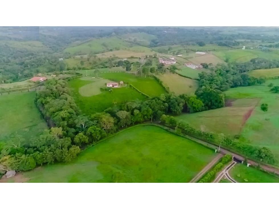 VENTA DE TERRENO EN EL ESPINO, CHORRERA — foto 6